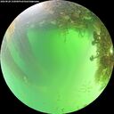 ./images/calvert/underwater/20260828/underwater20260828_132001M.jpg