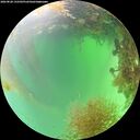 ./images/calvert/underwater/20260828/underwater20260828_132501M.jpg
