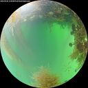 ./images/calvert/underwater/20260828/underwater20260828_133001M.jpg