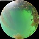 ./images/calvert/underwater/20260828/underwater20260828_133501M.jpg