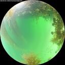 ./images/calvert/underwater/20260828/underwater20260828_134001M.jpg