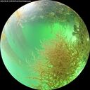 ./images/calvert/underwater/20260828/underwater20260828_134501M.jpg