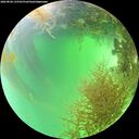 ./images/calvert/underwater/20260828/underwater20260828_135501M.jpg