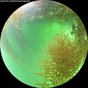 ./images/calvert/underwater/20260828/underwater20260828_141001M.jpg