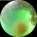 ./images/calvert/underwater/20260828/underwater20260828_141501M.jpg