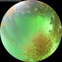 ./images/calvert/underwater/20260828/underwater20260828_142001M.jpg