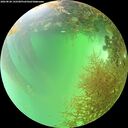 ./images/calvert/underwater/20260828/underwater20260828_142501M.jpg