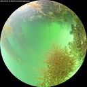 ./images/calvert/underwater/20260828/underwater20260828_143001M.jpg