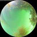 ./images/calvert/underwater/20260828/underwater20260828_144001M.jpg