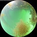 ./images/calvert/underwater/20260828/underwater20260828_144501M.jpg
