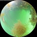 ./images/calvert/underwater/20260828/underwater20260828_145001M.jpg