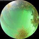 ./images/calvert/underwater/20260828/underwater20260828_145501M.jpg
