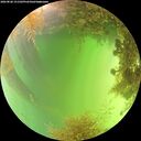 ./images/calvert/underwater/20260828/underwater20260828_151501M.jpg