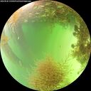 ./images/calvert/underwater/20260828/underwater20260828_153001M.jpg