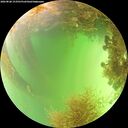./images/calvert/underwater/20260828/underwater20260828_153501M.jpg
