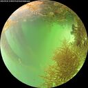 ./images/calvert/underwater/20260828/underwater20260828_154001M.jpg