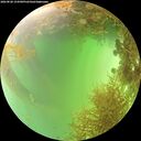 ./images/calvert/underwater/20260828/underwater20260828_154501M.jpg