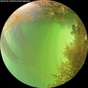 ./images/calvert/underwater/20260828/underwater20260828_155002M.jpg