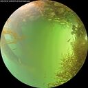 ./images/calvert/underwater/20260828/underwater20260828_160001M.jpg