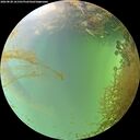 ./images/calvert/underwater/20260828/underwater20260828_161501M.jpg