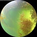 ./images/calvert/underwater/20260828/underwater20260828_162501M.jpg