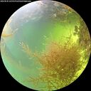 ./images/calvert/underwater/20260828/underwater20260828_163501M.jpg