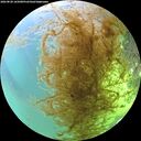 ./images/calvert/underwater/20260828/underwater20260828_165001M.jpg