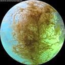 ./images/calvert/underwater/20260828/underwater20260828_165502M.jpg