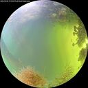 ./images/calvert/underwater/20260828/underwater20260828_171501M.jpg
