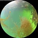 ./images/calvert/underwater/20260828/underwater20260828_174501M.jpg