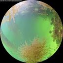 ./images/calvert/underwater/20260828/underwater20260828_175501M.jpg