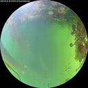 ./images/calvert/underwater/20260828/underwater20260828_181001M.jpg
