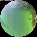 ./images/calvert/underwater/20260828/underwater20260828_181501M.jpg