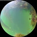 ./images/calvert/underwater/20260828/underwater20260828_182501M.jpg