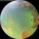 ./images/calvert/underwater/20260828/underwater20260828_185001M.jpg