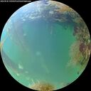 ./images/calvert/underwater/20260828/underwater20260828_192002M.jpg
