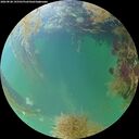 ./images/calvert/underwater/20260828/underwater20260828_195501M.jpg