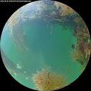 ./images/calvert/underwater/20260828/underwater20260828_200002M.jpg