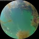 ./images/calvert/underwater/20260828/underwater20260828_200501M.jpg