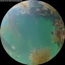 ./images/calvert/underwater/20260828/underwater20260828_201501M.jpg