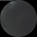 ./images/calvert/underwater/20260829/underwater20260829_060502M.jpg