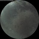 ./images/calvert/underwater/20260829/underwater20260829_061501M.jpg