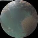 ./images/calvert/underwater/20260829/underwater20260829_062501M.jpg