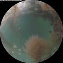 ./images/calvert/underwater/20260829/underwater20260829_063001M.jpg