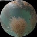 ./images/calvert/underwater/20260829/underwater20260829_063501M.jpg