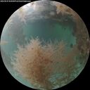 ./images/calvert/underwater/20260829/underwater20260829_064001M.jpg