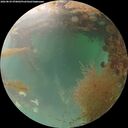 ./images/calvert/underwater/20260829/underwater20260829_070002M.jpg
