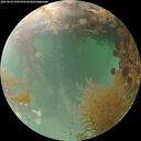 ./images/calvert/underwater/20260829/underwater20260829_070501M.jpg