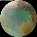 ./images/calvert/underwater/20260829/underwater20260829_071001M.jpg