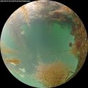 ./images/calvert/underwater/20260829/underwater20260829_071502M.jpg